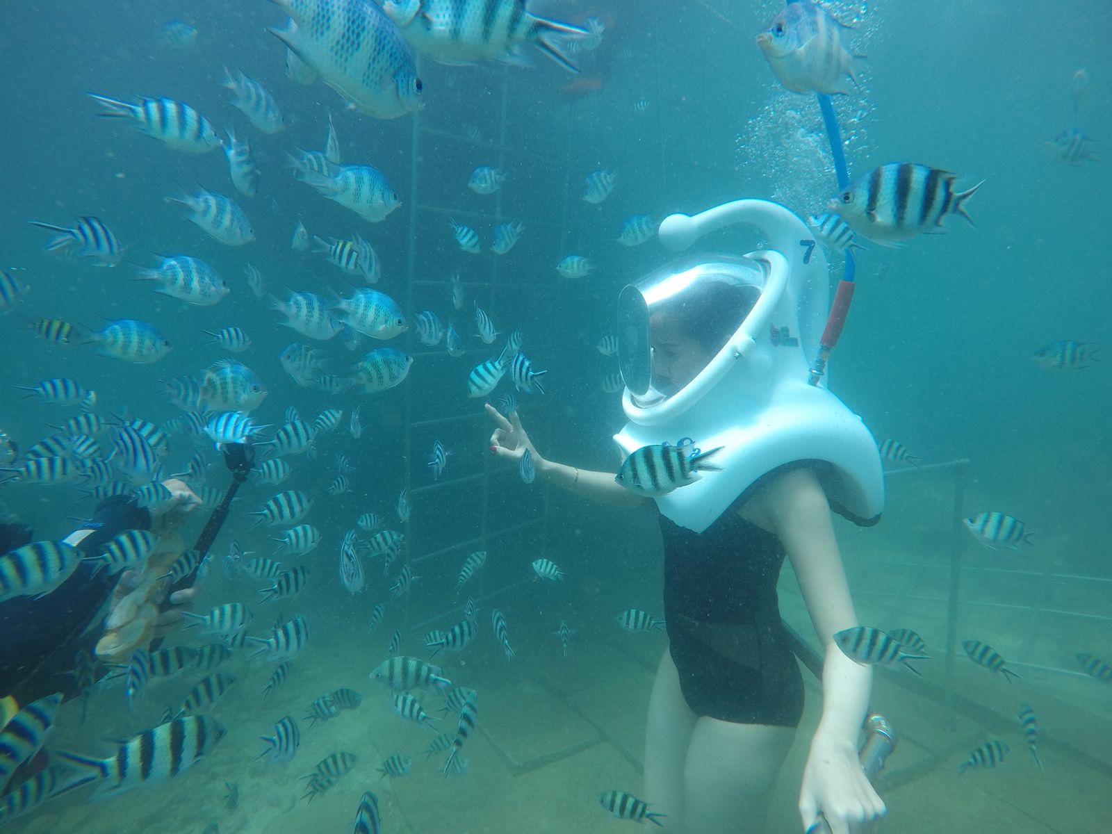 Unter Wasser spazieren – Sea Trek® – 1/3