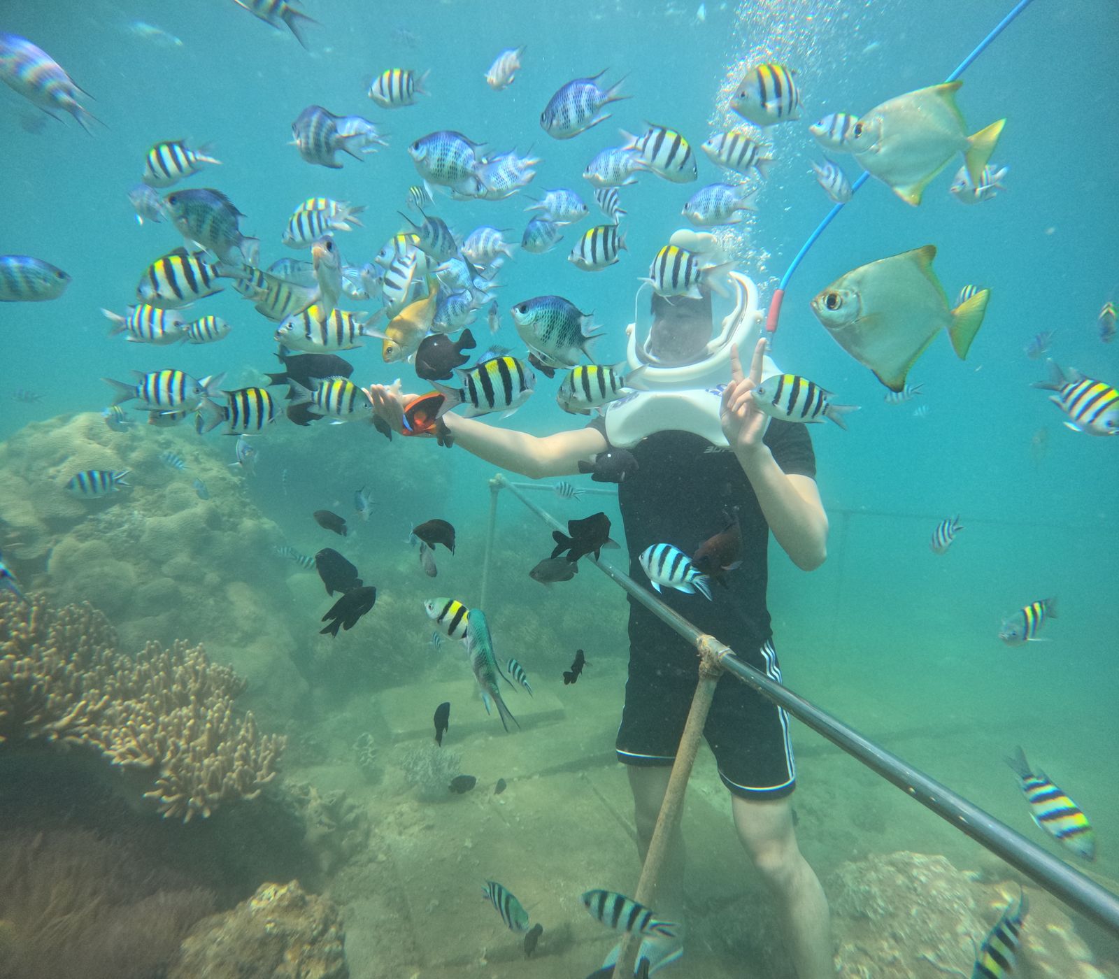 Unter Wasser spazieren – Sea Trek® – 2/3